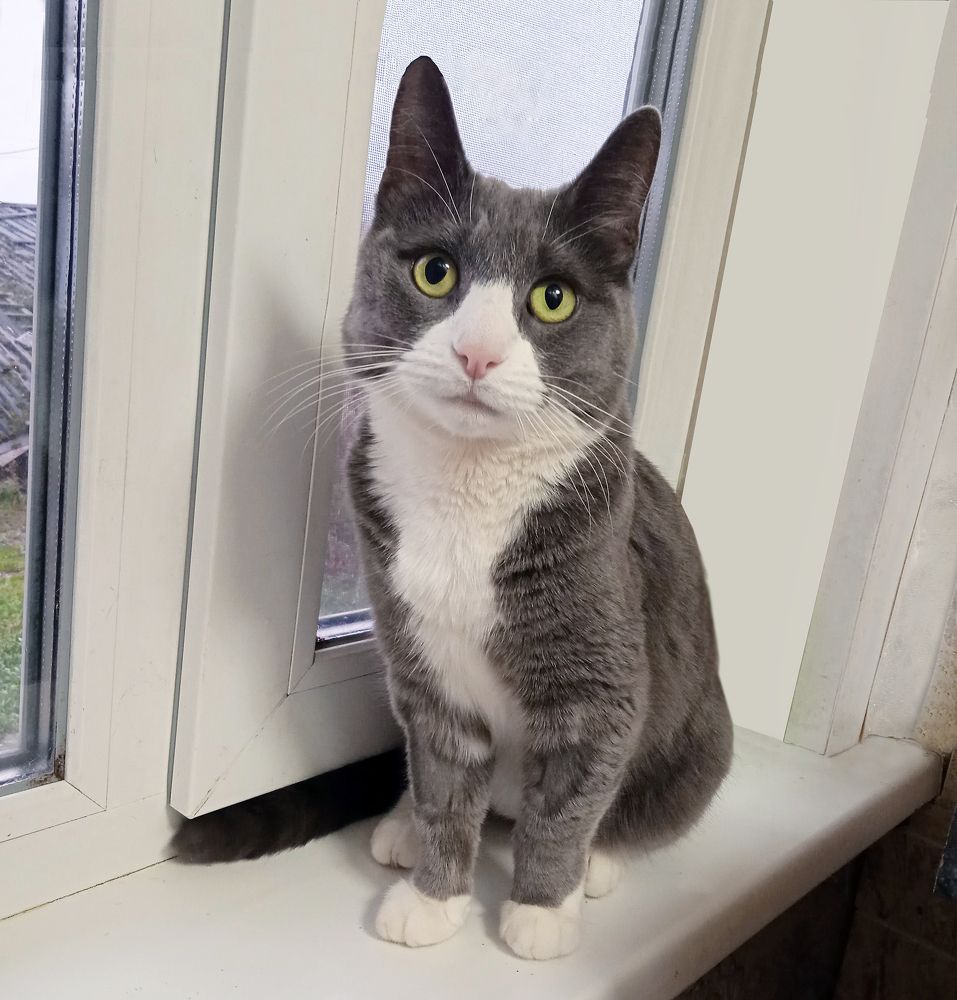 Photograph by Татьяна Февральская