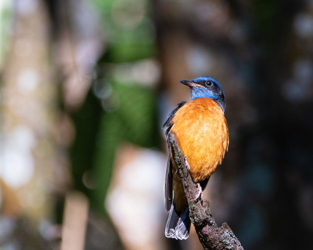 Photograph by Nandhakumar Velumani