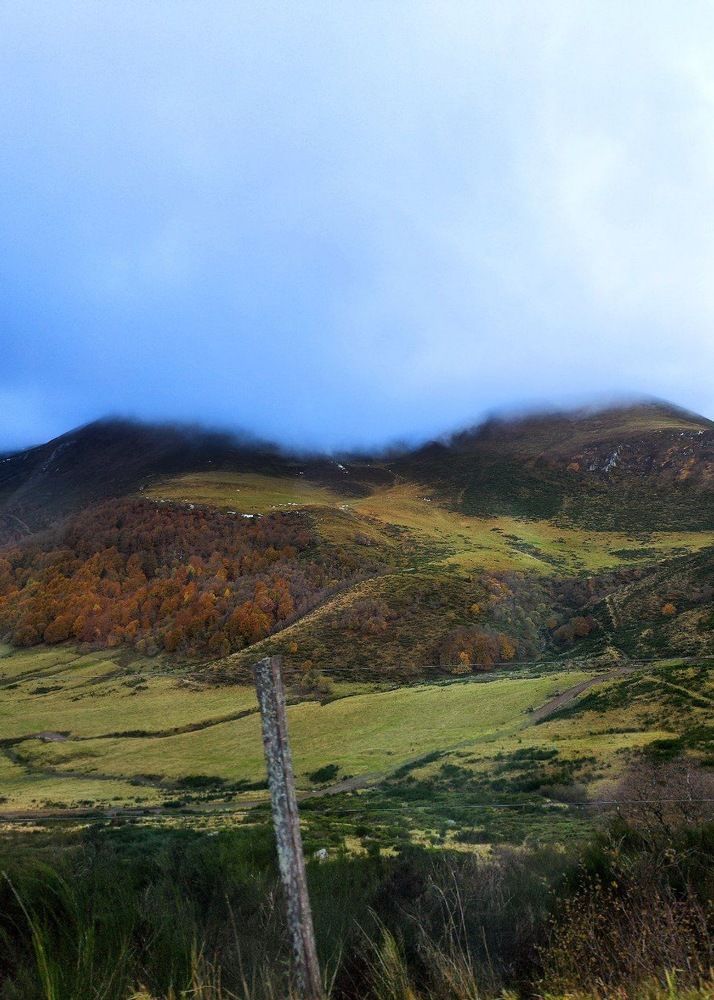 Photograph by Александра Шилова