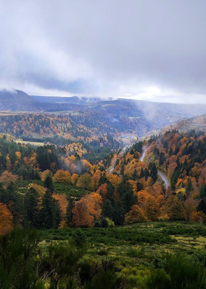 Photograph by Александра Шилова