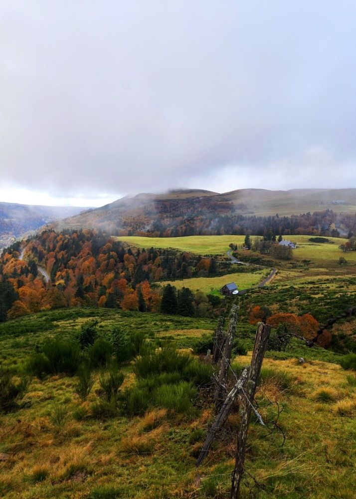 Photograph by Александра Шилова