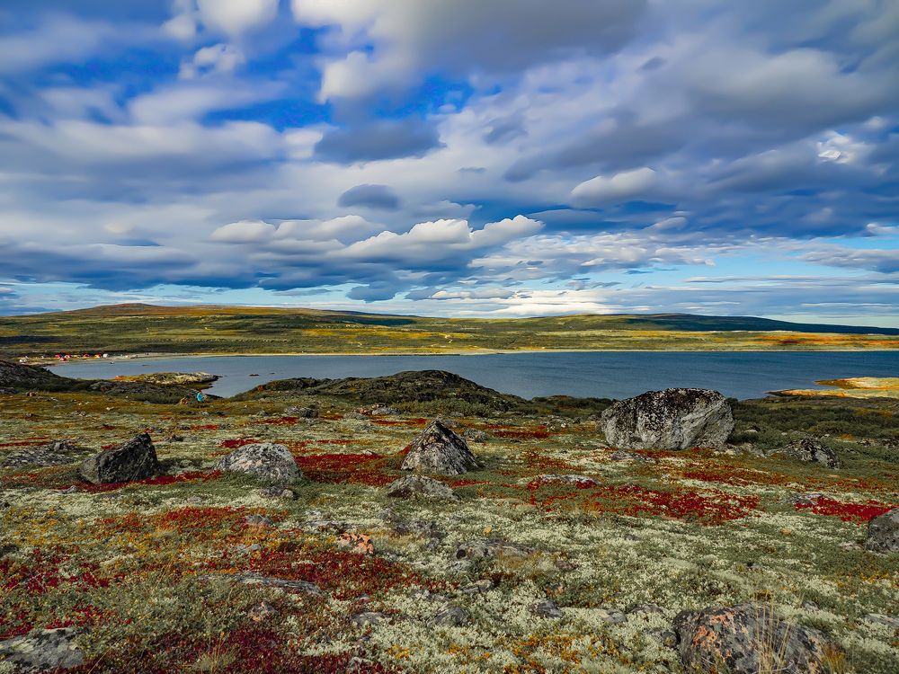 Photograph by Дмитрий Потапов