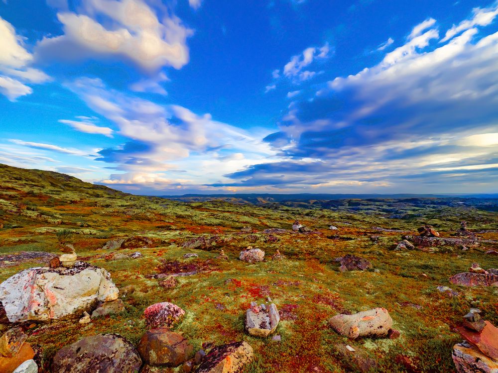 Photograph by Дмитрий Потапов