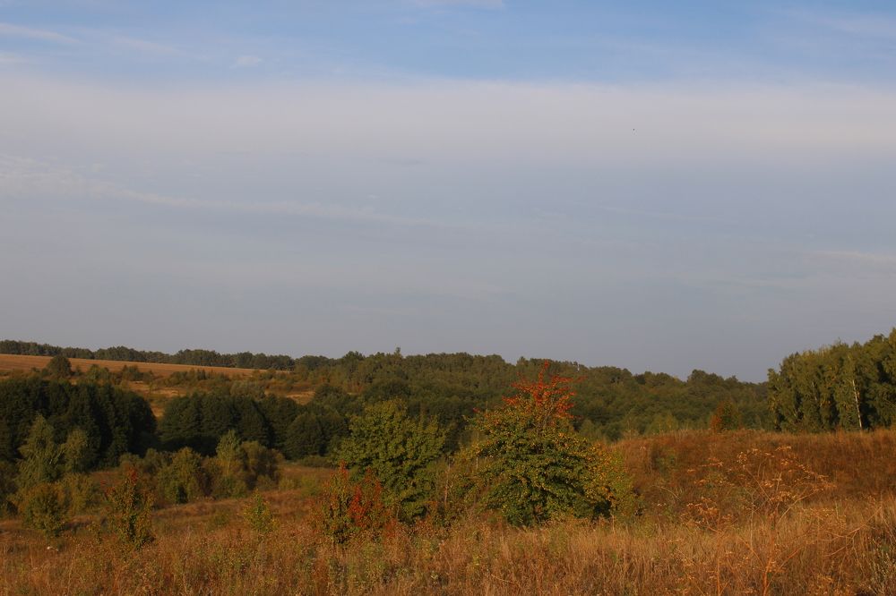 Photograph by Елена Коробченко