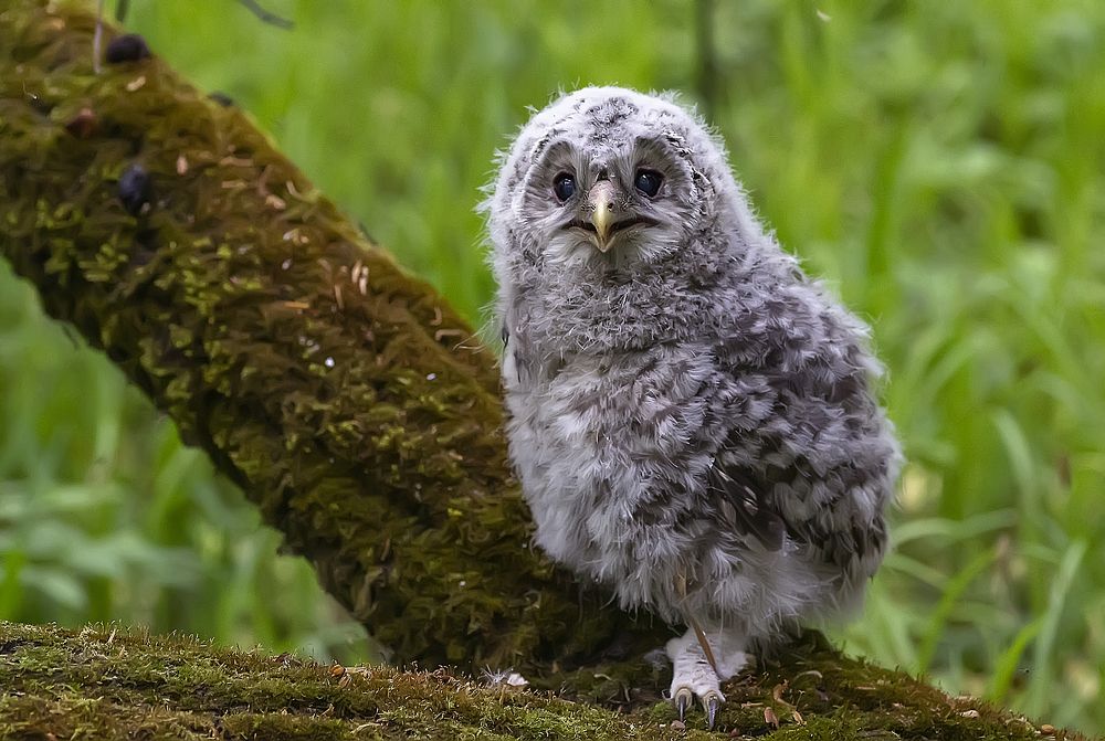 Photograph by Широких Александр