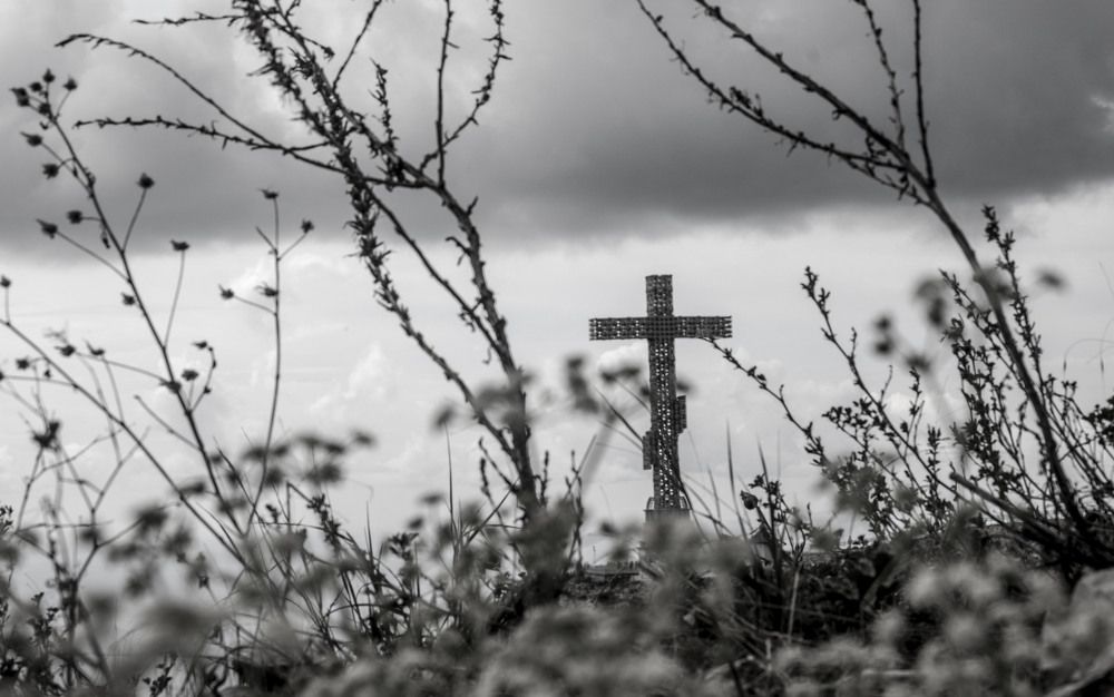 Photograph by Екатерина @Arigata