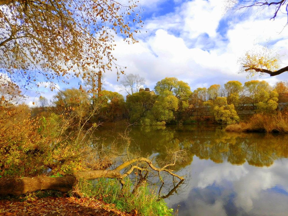 Photograph by Оксана Демидова