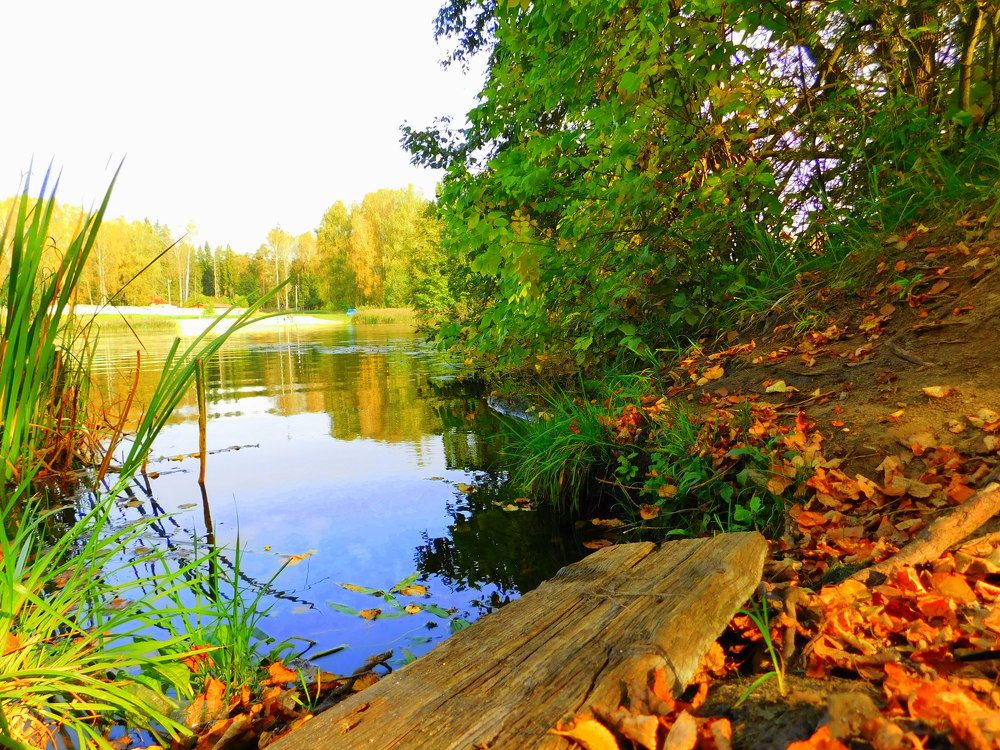 Photograph by Оксана Демидова