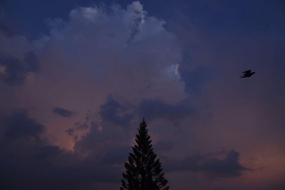 Фотография автора Aryaman Dhiman