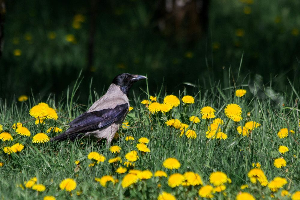 Photograph by Александр Новиков