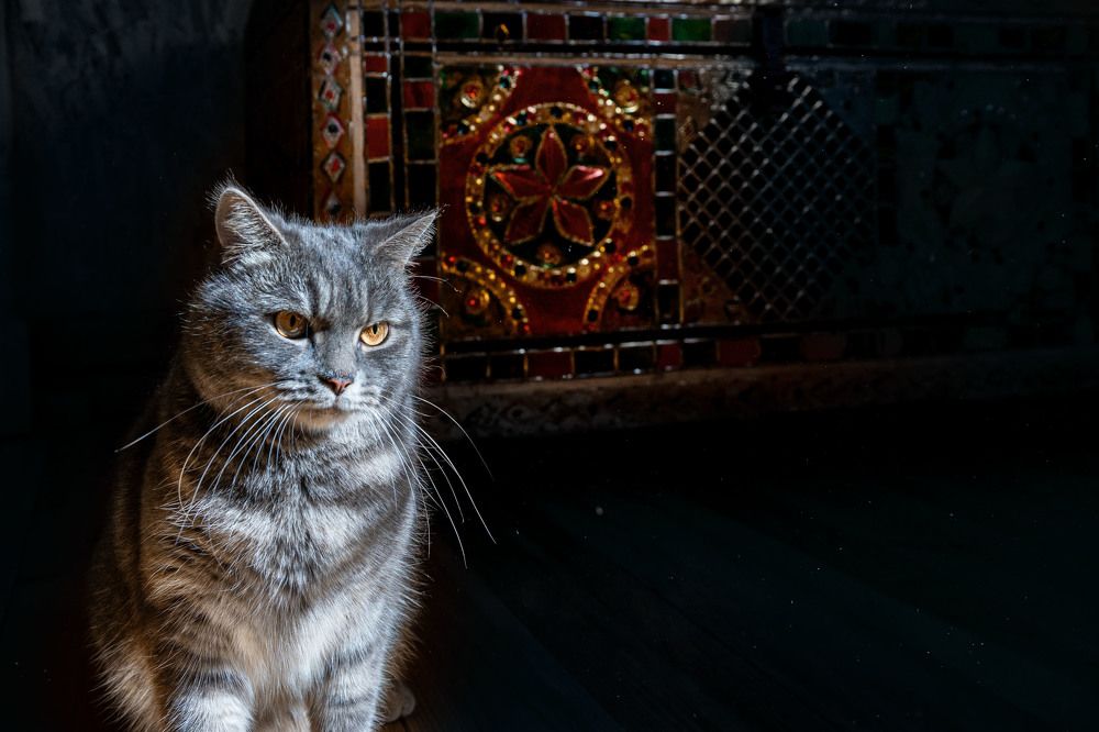 Photograph by Светлана Пузикова