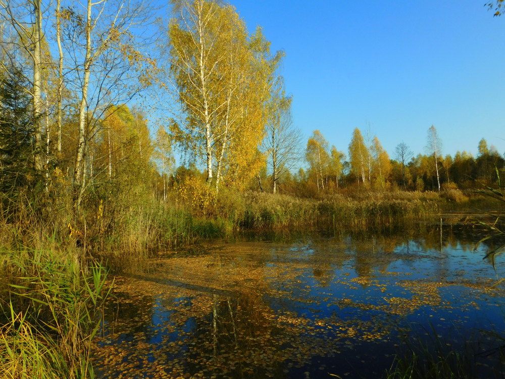 Photograph by Оксана Демидова