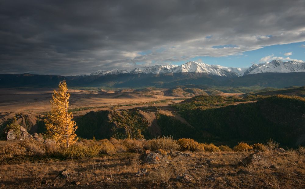 Photograph by Светлана Долгих