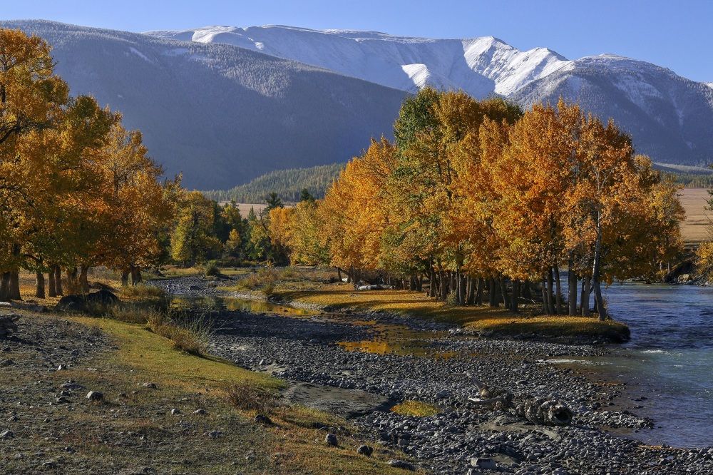 Photograph by Светлана Долгих