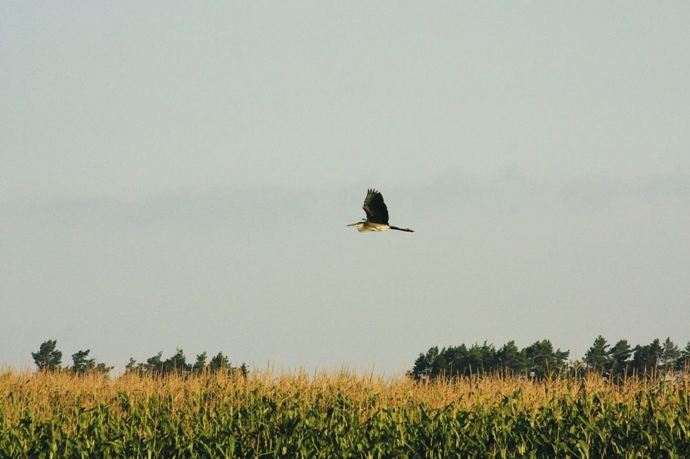 Photograph by Татьяна