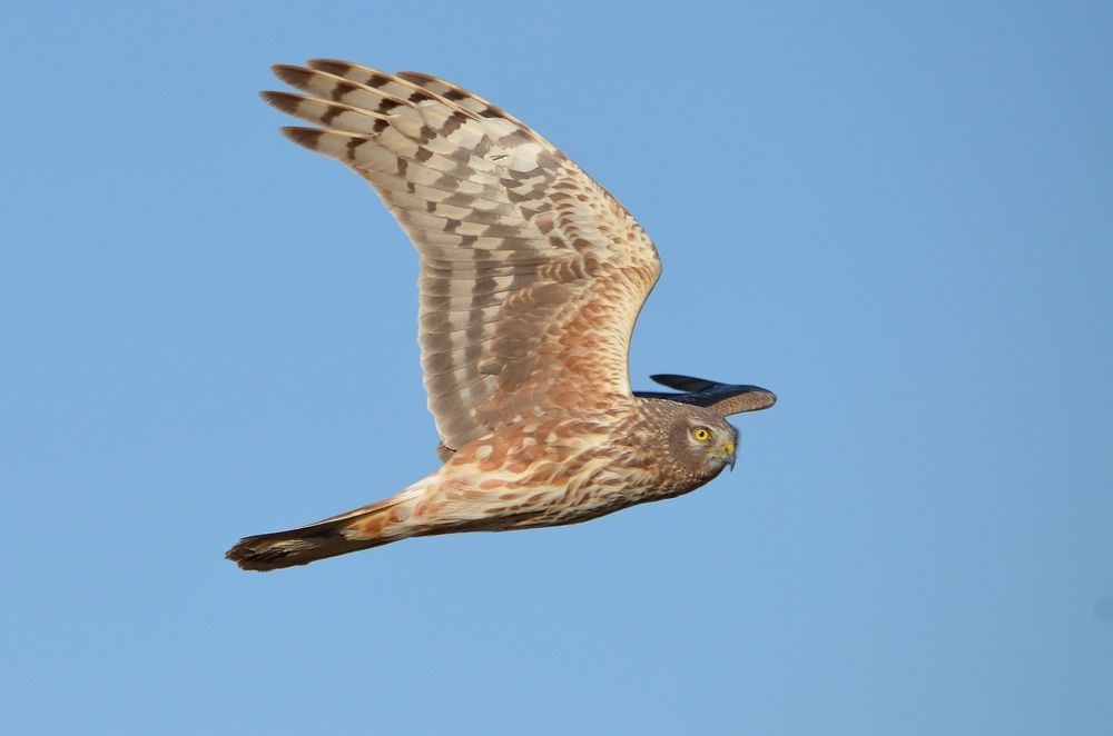 Photograph by Галина Катанова