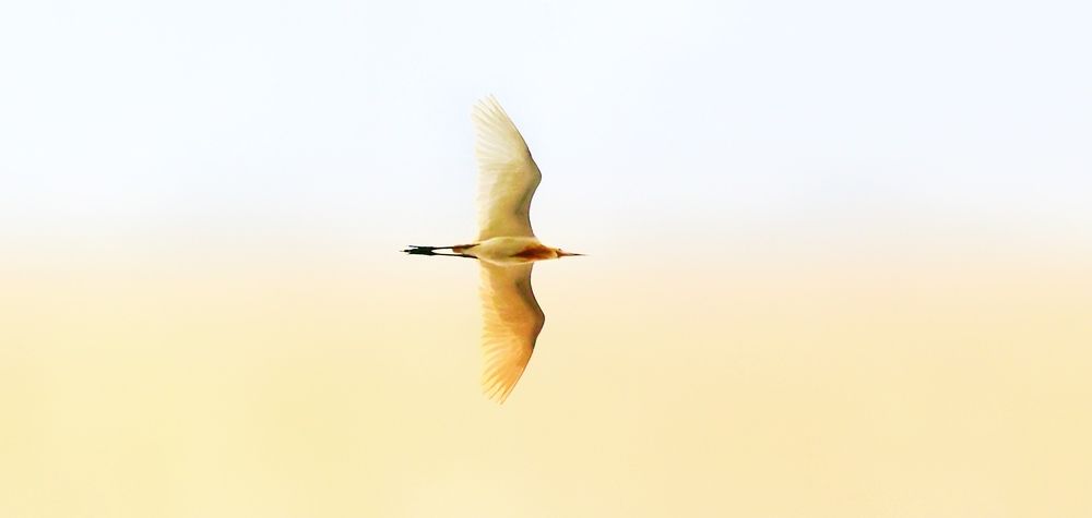 Photograph by Jimmy George