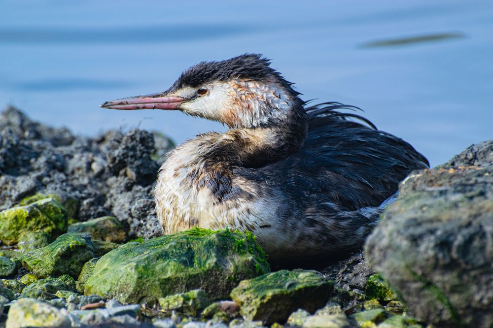 Photograph by Алексей Мордвишин