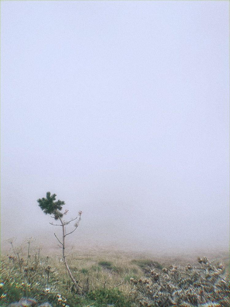 Photograph by Ekaterina Kulakova