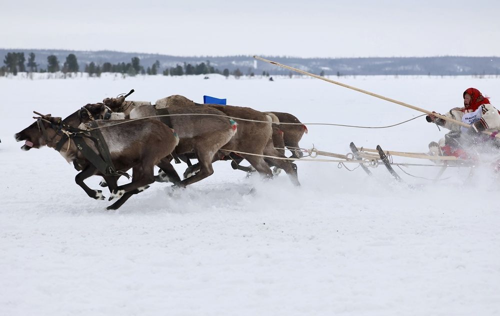 Вперёд к победе