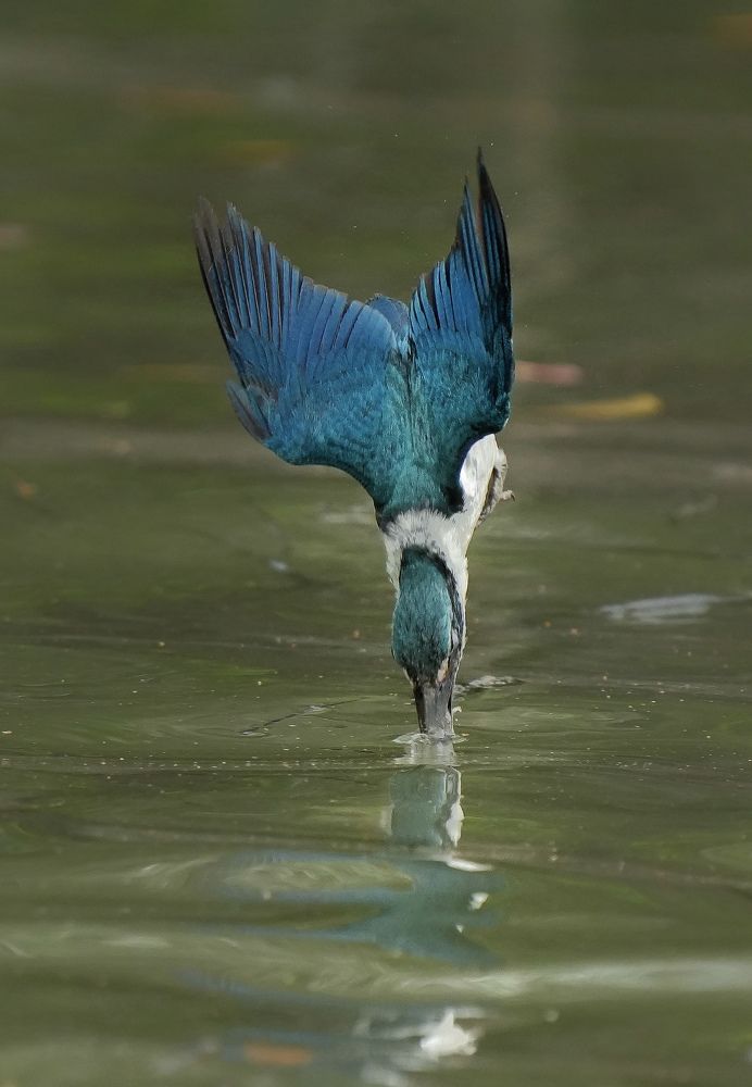 Photograph by Debtanu Baidya