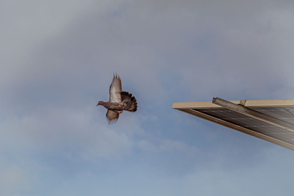 Photograph by Jimmy George