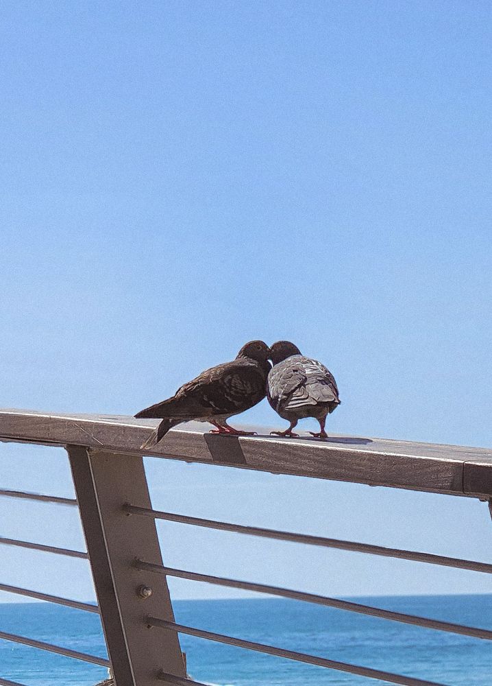 Фотография автора Galina Israilov