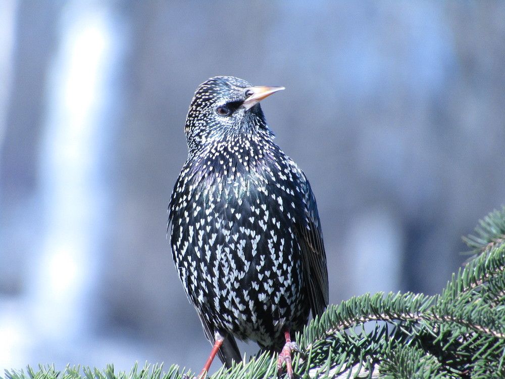 Photograph by Татьяна Смирнова