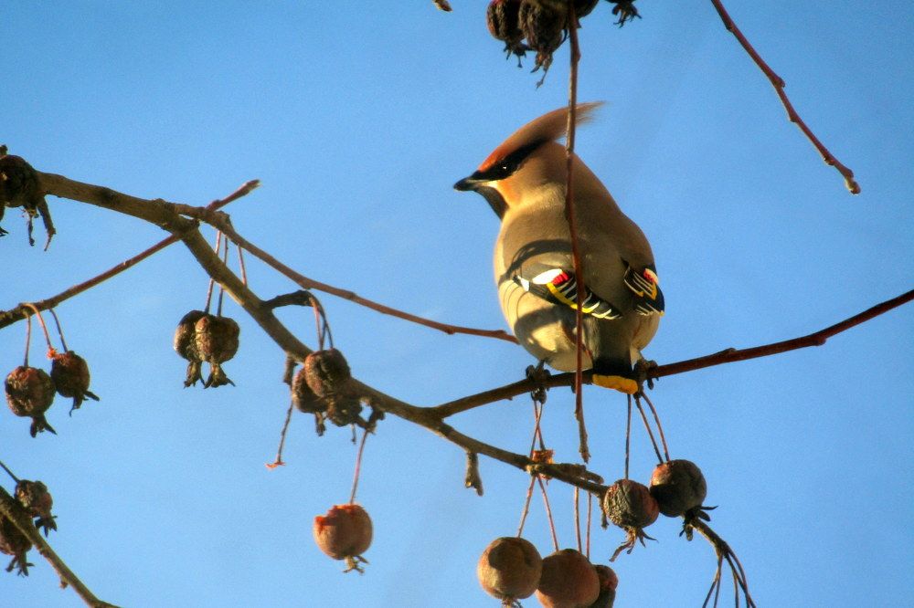 Photograph by Татьяна Смирнова