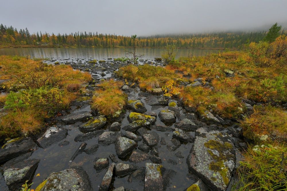 Photograph by Margareth Tikhonova