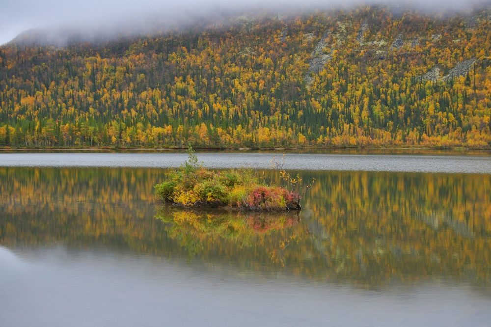 Photograph by Margareth Tikhonova