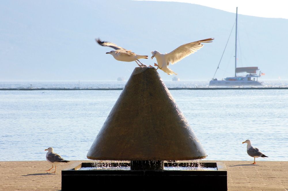 Photograph by Александр Гришин