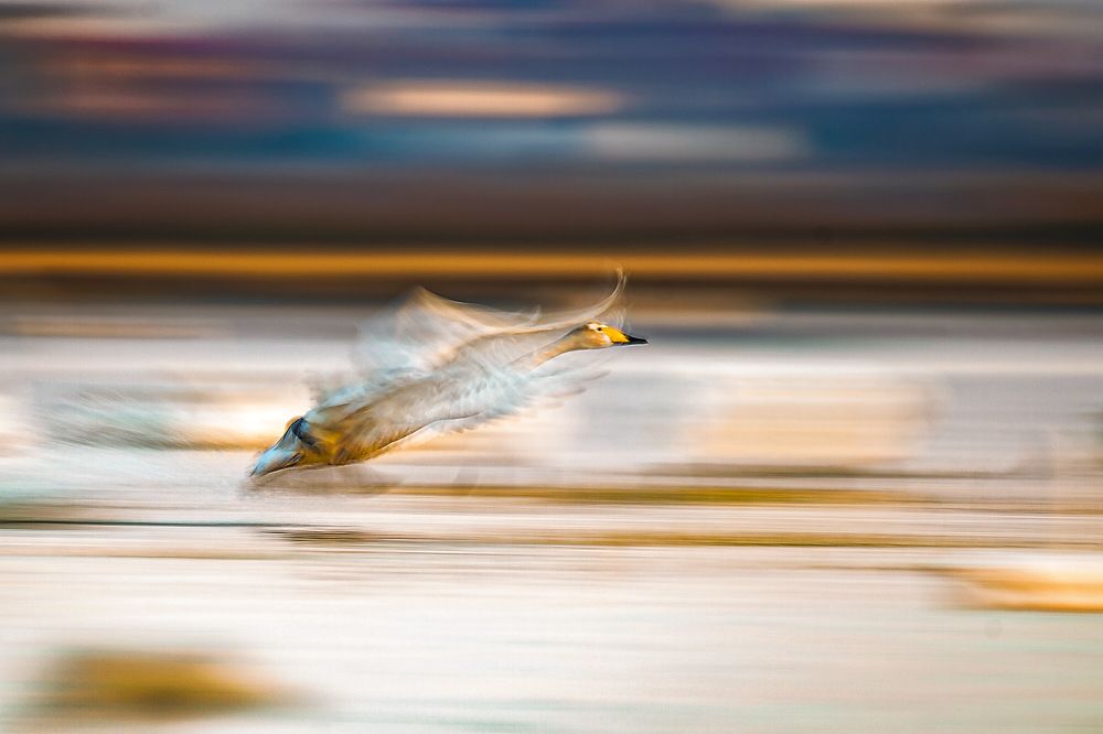 Photograph by mehdi mohebi pour