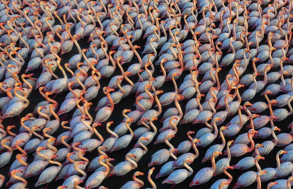 Photograph by mehdi mohebi pour