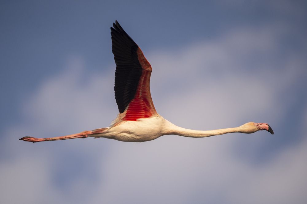 Photograph by mehdi mohebi pour