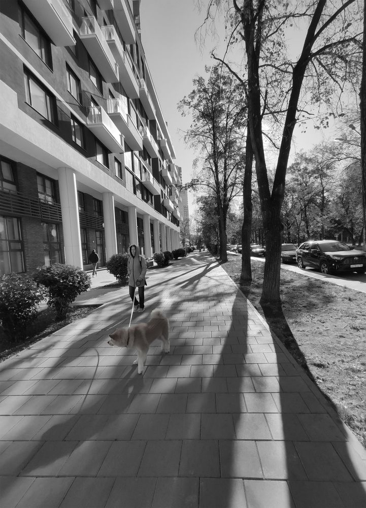 Photograph by Всеволод Сахновский