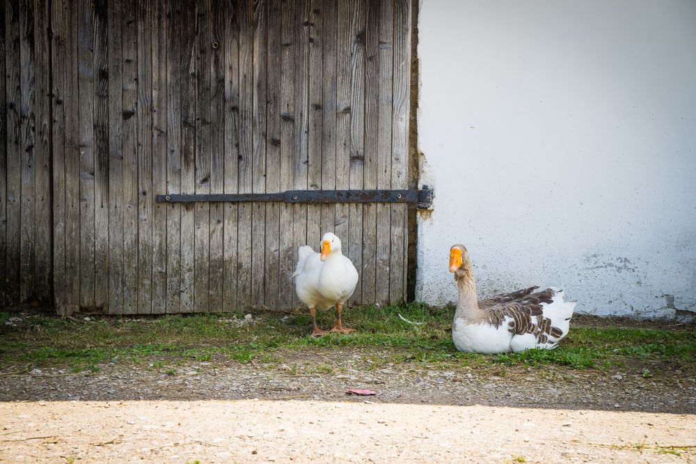 Фотография автора Василиса Новикова