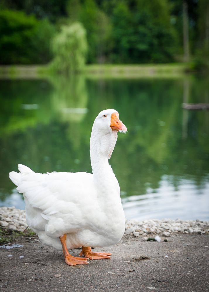 Фотография автора Василиса Новикова