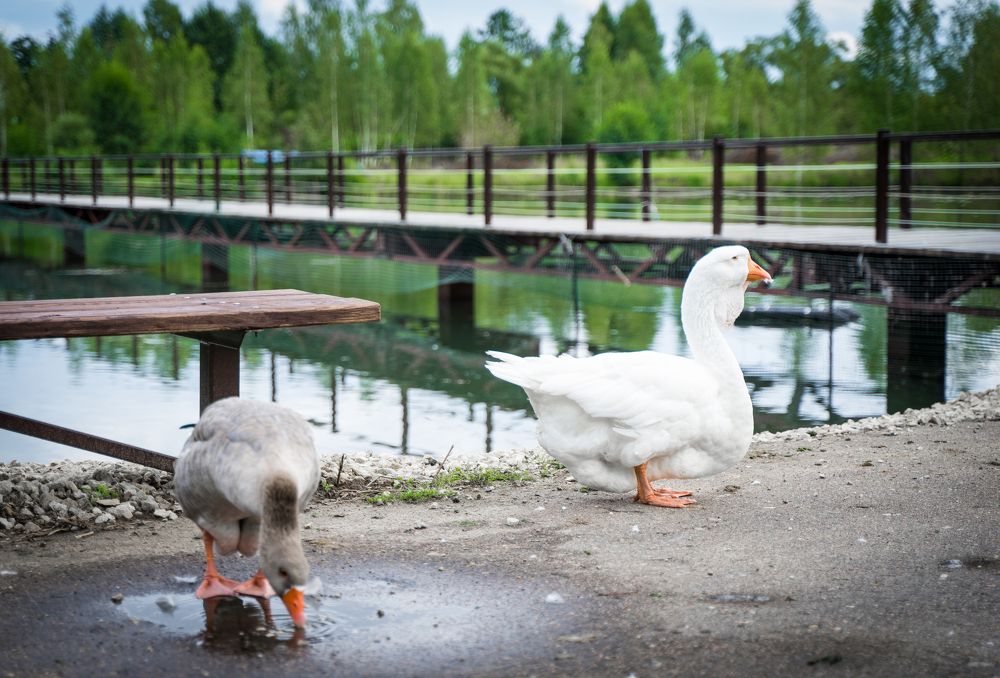 Фотография автора Василиса Новикова