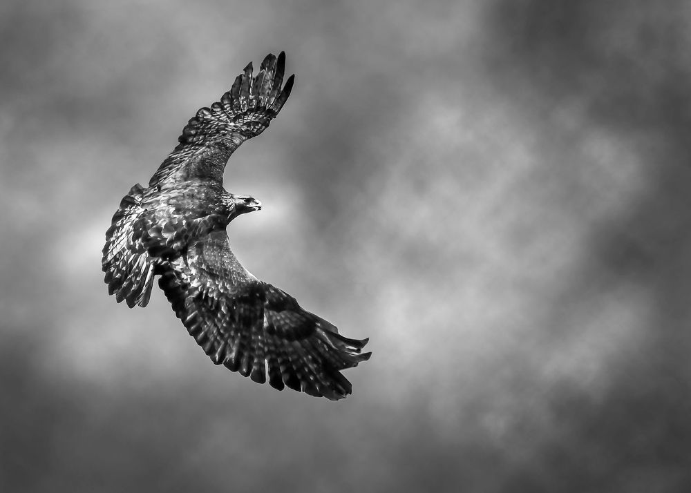 Photograph by Amr Miqdadi