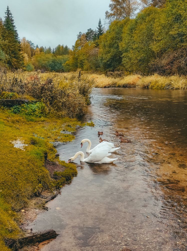 Photograph by Олеся Хижко
