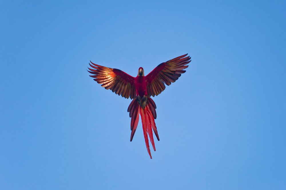 Photograph by Станислав Дроздов