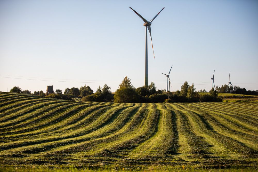 Photograph by Rasita Li