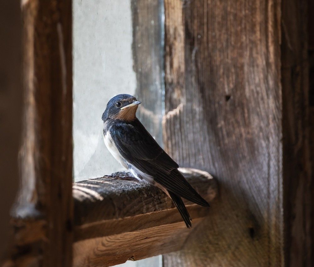 Фотография автора Eduard Zhuravlev