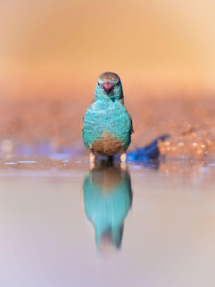 Photograph by Silvia Ribeiro