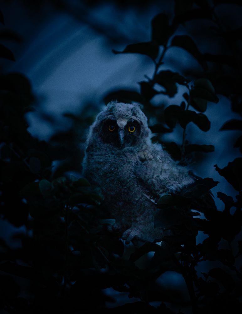 Photograph by Govinda Thompson