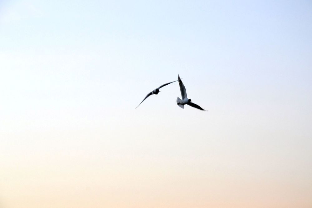 Photograph by Артем Великанов