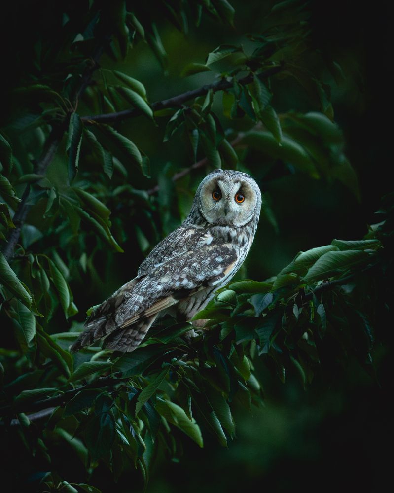 Photograph by Govinda Thompson