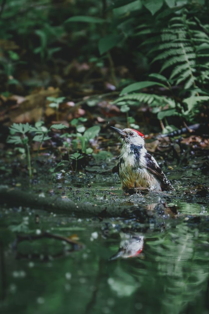 Photograph by Ilya Marchenko