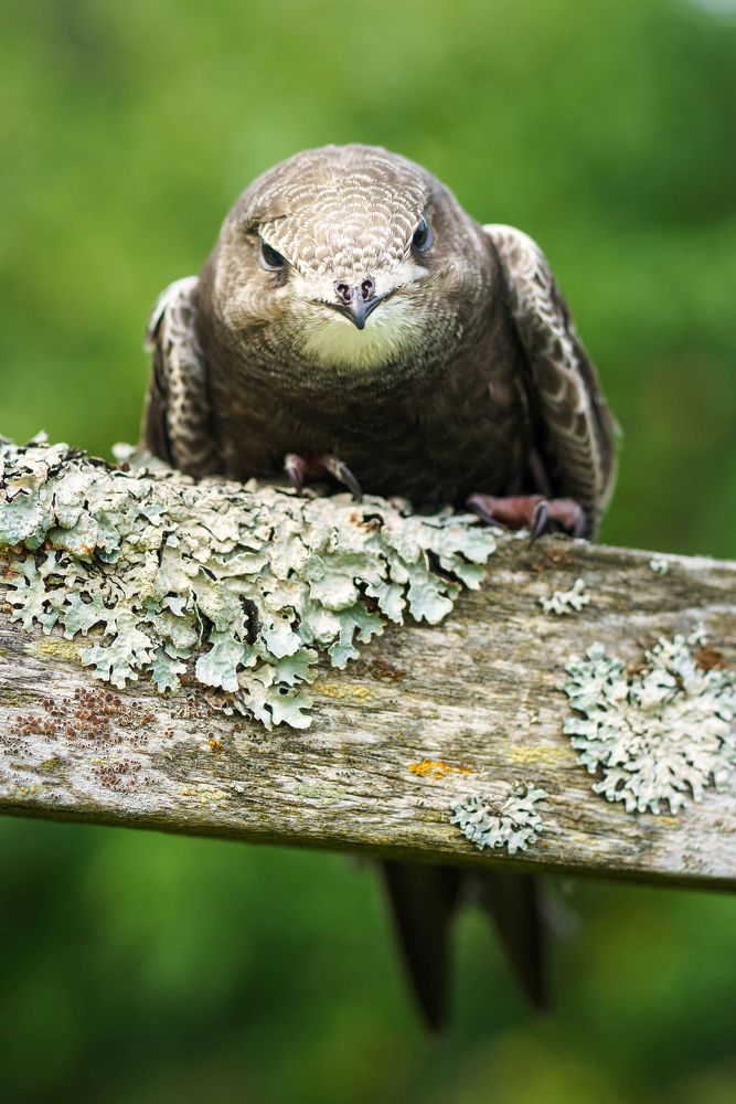 Photograph by Андрей Валерьевич